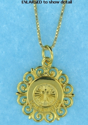 ENLARGED view of AP0110