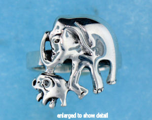 ARP0013 ring
