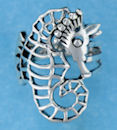 sterling silver ring ARP1399