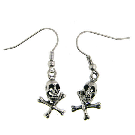 model ERC1004 steel earrings enlarged view