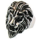 Stainless Steel skull ring SCR3047