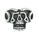 Stainless Steel skull ring SRC2047