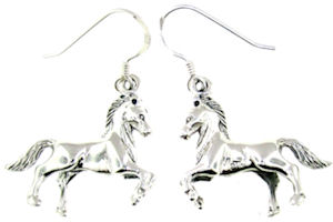 model WLHE587 earrings enlarged view