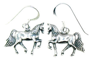 model WLHE728 earrings enlarged view