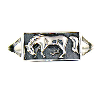 Horse Ring WLR278